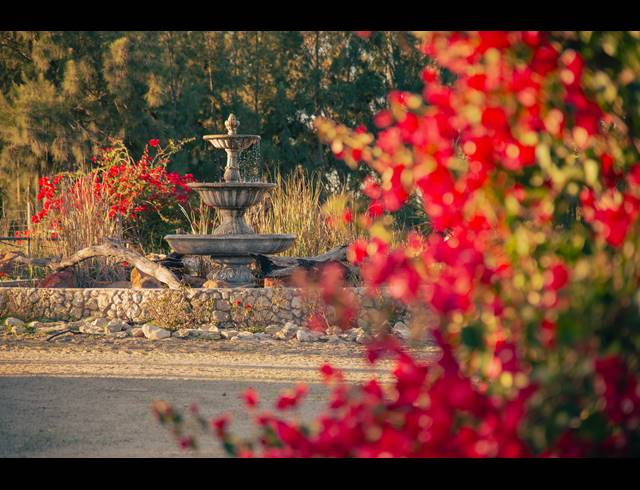 1,500M² LODGE FOR SALE IN HARTEBEESFONTEIN